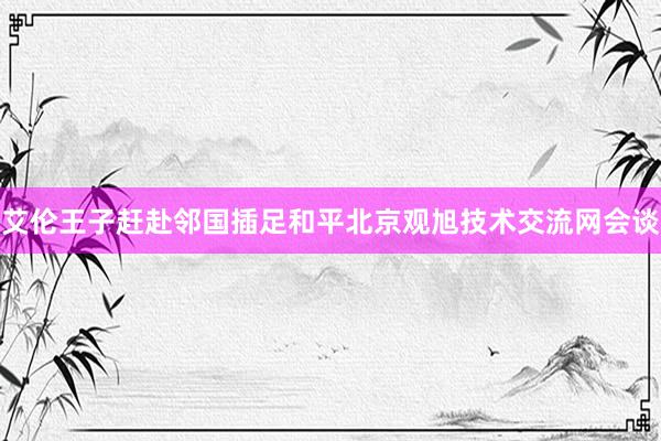 艾伦王子赶赴邻国插足和平北京观旭技术交流网会谈