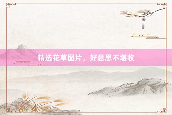 精选花草图片,好意思不堪收