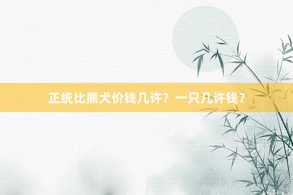 正统比熊犬价钱几许?一只几许钱?